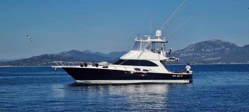 Viking 54' Convertible - main image