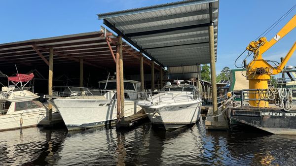 Sea Ray 500