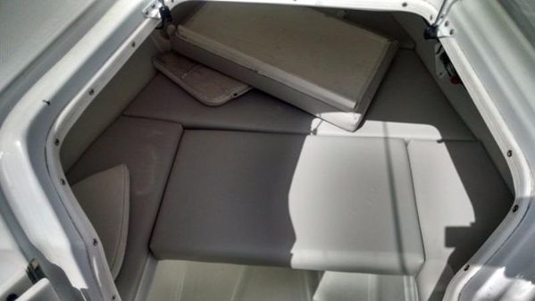 Baja 340 Sportfish image
