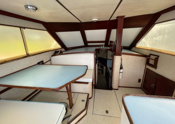 Custom 36 Matlack Tournament SF image