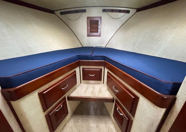 Custom 36 Matlack Tournament SF image