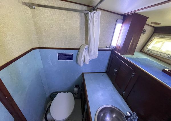 Custom 36 Matlack Tournament SF image