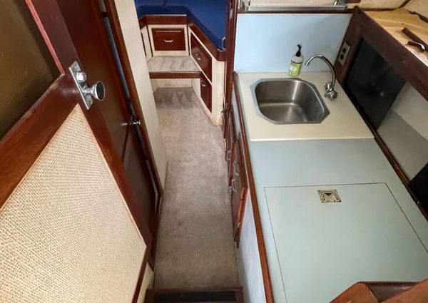 Custom 36 Matlack Tournament SF image