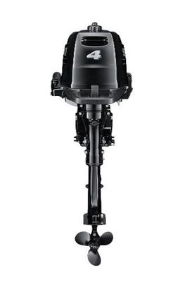 Suzuki DF4A - main image