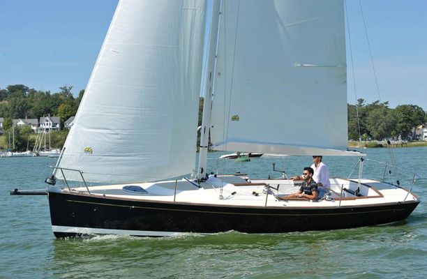 Tartan Fantail - main image
