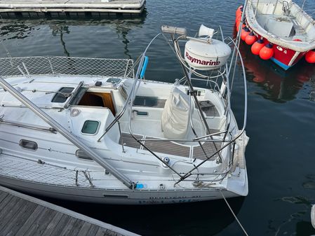 Beneteau 331 image