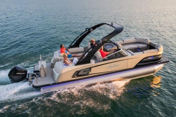 Avalon Excalibur Quad Lounge Windshield - 27' - main image