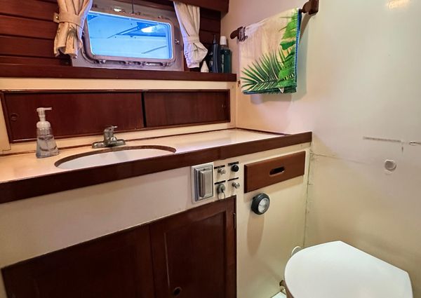 Island Gypsy Flush Aft Deck Trawler-Motor Yacht image