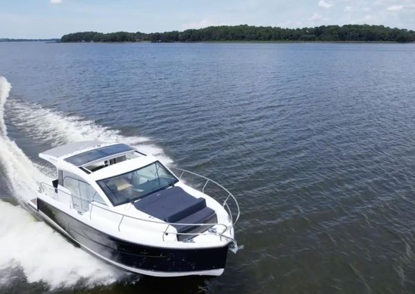 Sealine C335V image