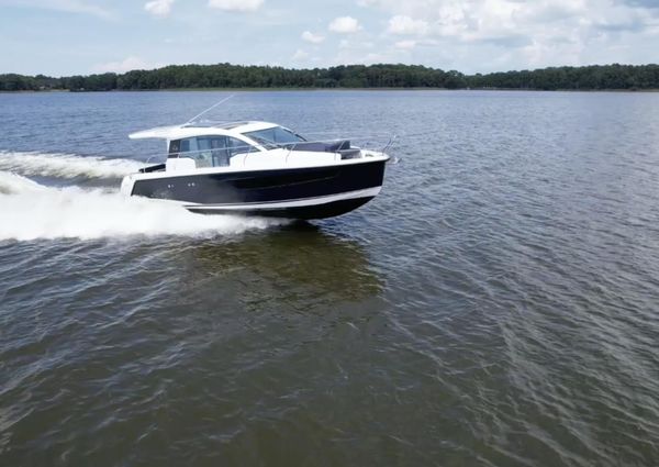 Sealine C335V image