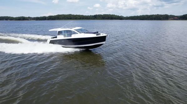 Sealine C335V image