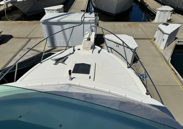 Bertram 28-FLYBRIDGE-CRUISER image