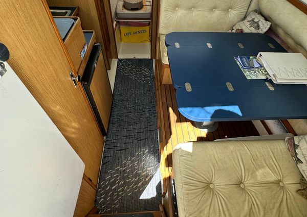 Bertram 28-FLYBRIDGE-CRUISER image