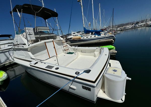 Bertram 28-FLYBRIDGE-CRUISER image