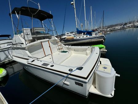 Bertram 28-FLYBRIDGE-CRUISER image