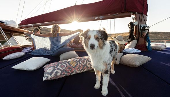 Custom Greek Traditional Sailing Yacht image