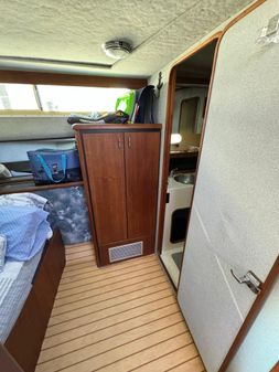 Bayliner 3888-MY-SEDAN image