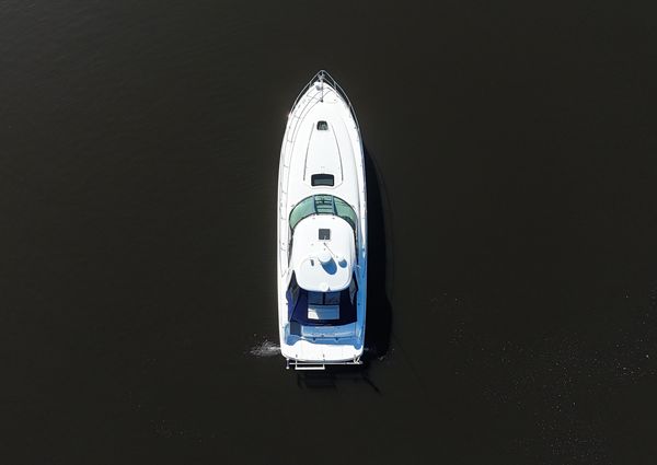 Sea-ray 44-SUNDANCER image