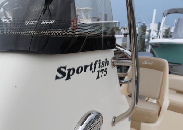 Scout 175 Sportfish image