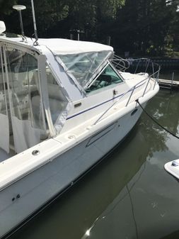 Tiara Yachts Open 31 image
