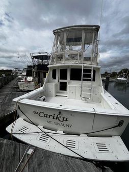 Egg-harbor 38-SPORT-FISH image