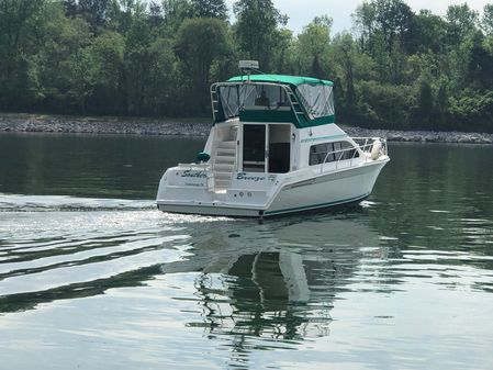 Mainship 40 Sedan Bridge image