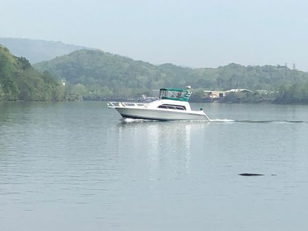 Mainship 40 Sedan Bridge image