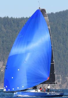 Offshore Racing Van Munster Boats FB 35 image