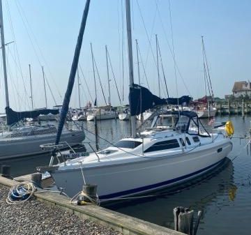 Hunter 29.5