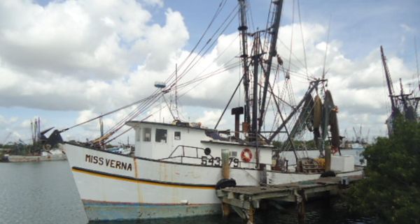 Commercial SHRIMP-FREEZER-TRAWLER image