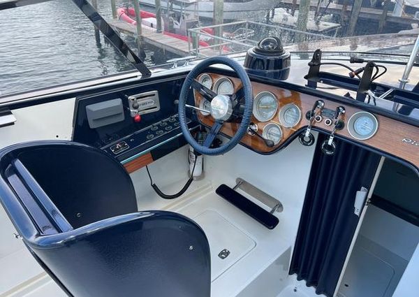 Riva 310 image