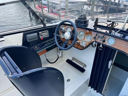 Riva 310 image