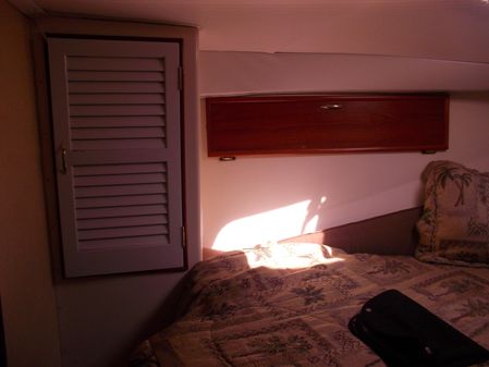 Ocean 35-CONVERTIBLE image