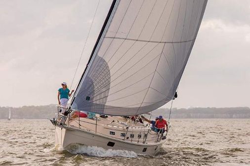 Island-packet 349 image
