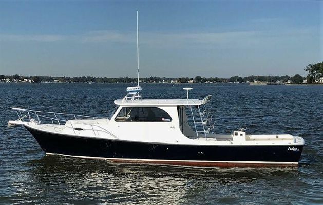 Judge Chesapeake - main image