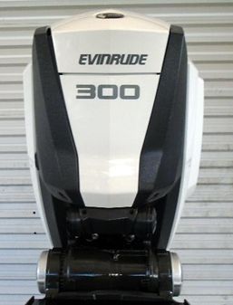 Evinrude  E-TEC G2 300hp 25