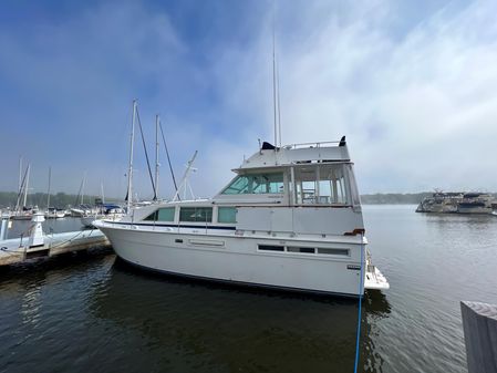 Bertram 42 Flybridge Motor Yacht image