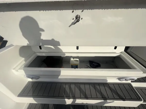 Bertram 46 Moppie image