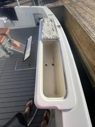 Bertram 46 Moppie image