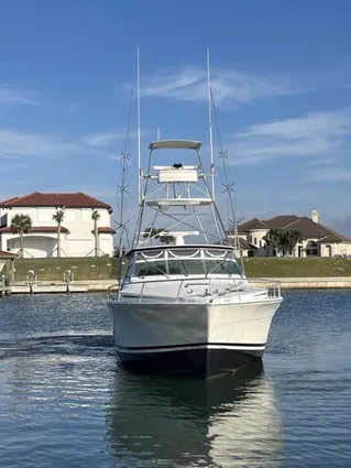 Bertram 46 Moppie image