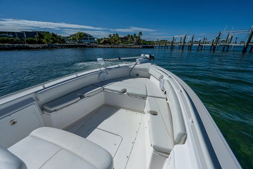 Everglades 243-CC image
