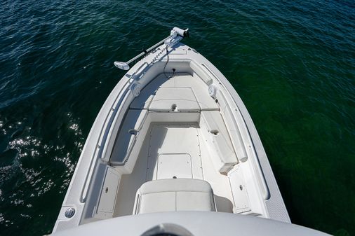 Everglades 243-CC image