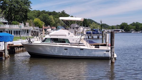 Bertram 33 Sport Fisherman image