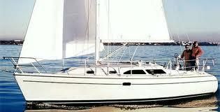 Catalina 310