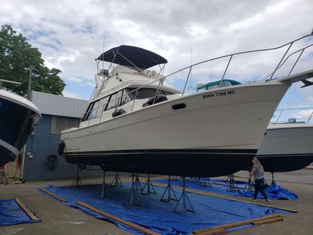 Bayliner 3288-MOTORYACHT image