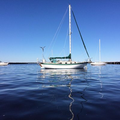 Southern Cross 31 - main image