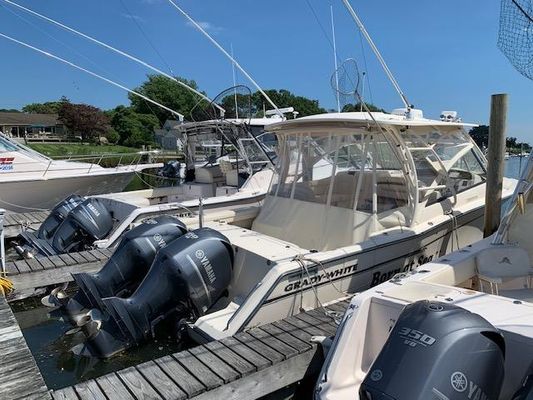 Grady-White Freedom 335 - main image