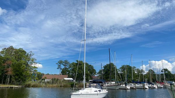 Hunter 33
