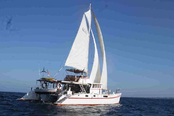 48FT Flybridge Motorsailer-Catamaran - main image