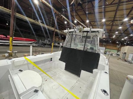 Striper 2601-WALKAROUND image
